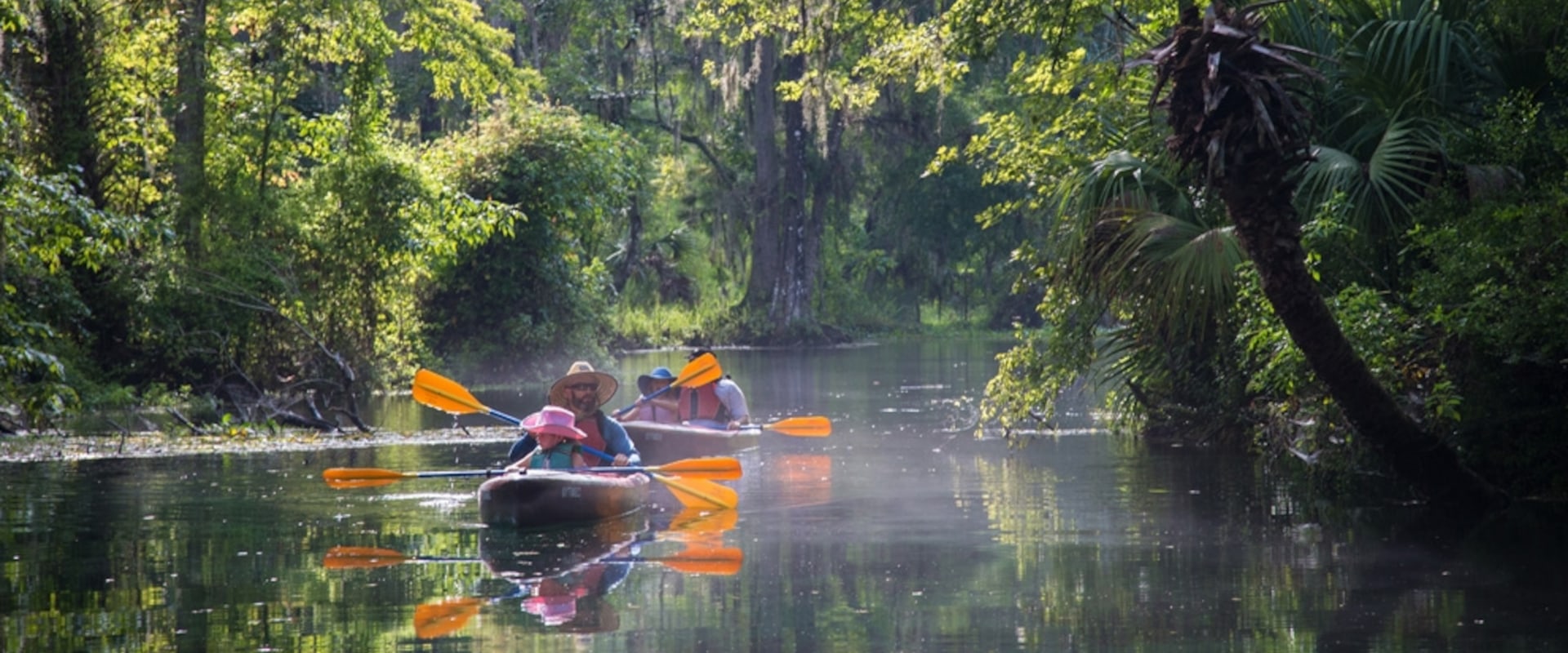 Exploring the Wonders of Ocala National Forest