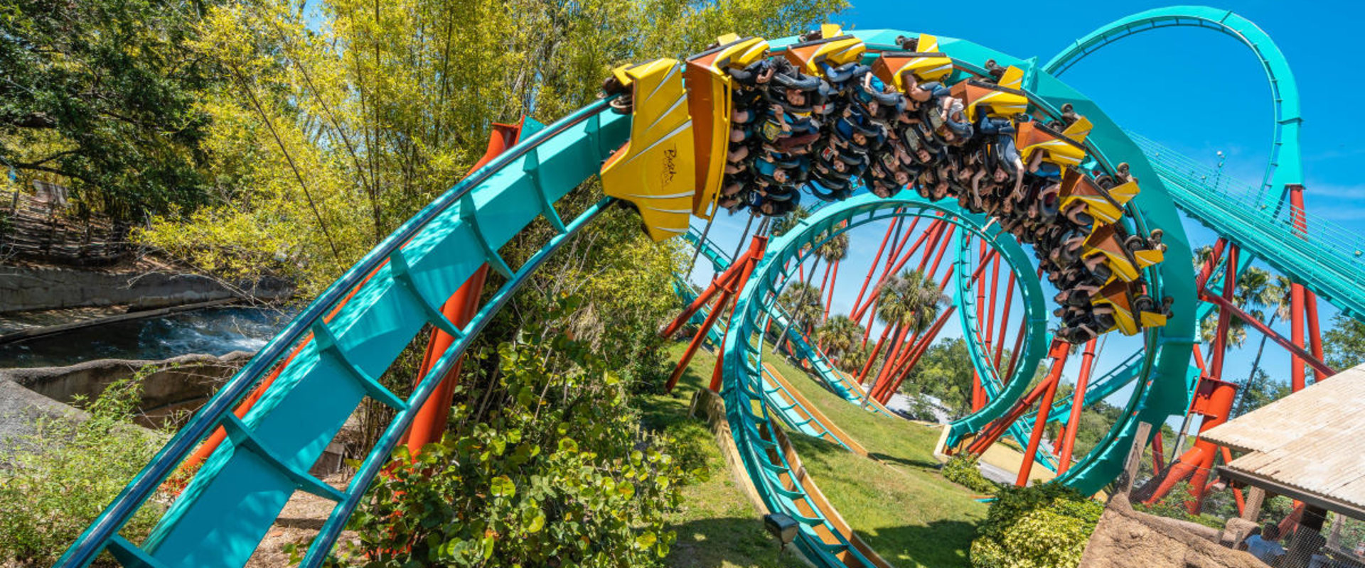 Discover the Best of Busch Gardens Tampa Bay