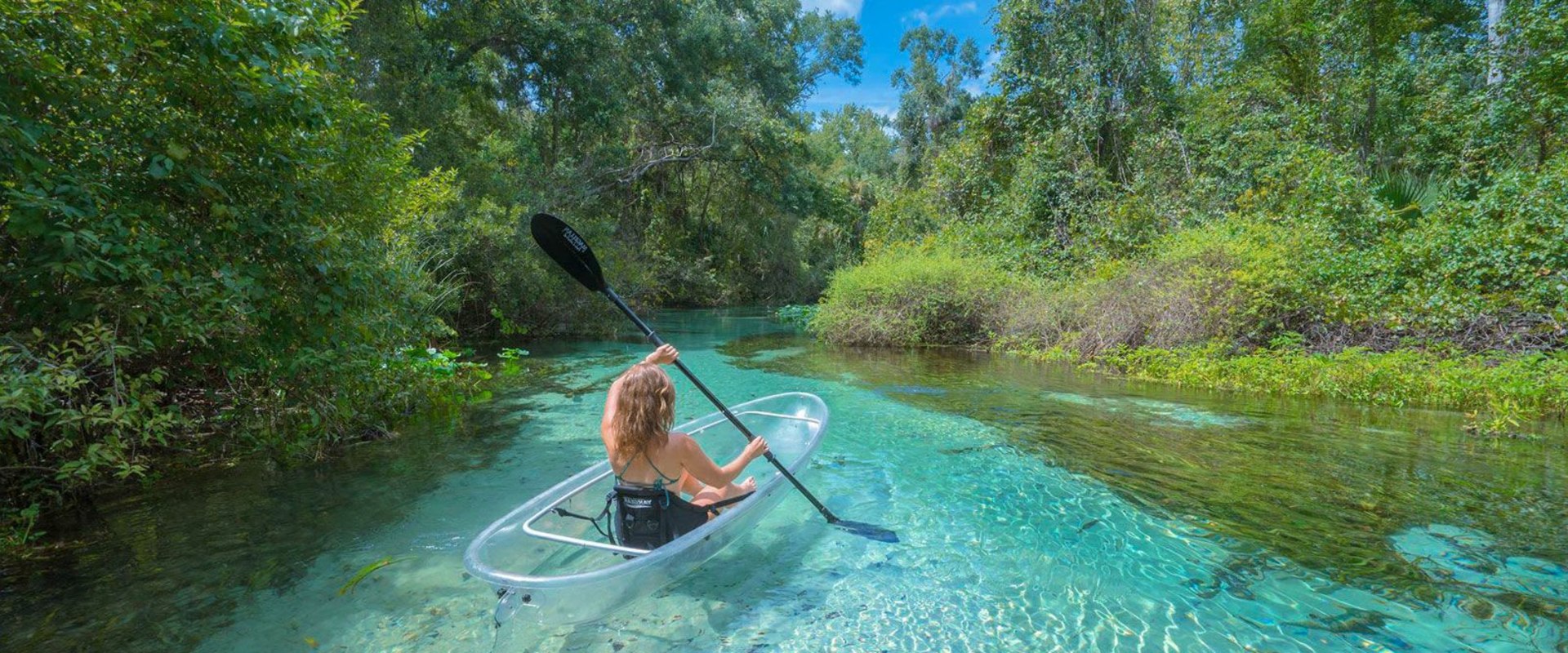 Kayaking in the Springs: Exploring Florida's Natural Wonders