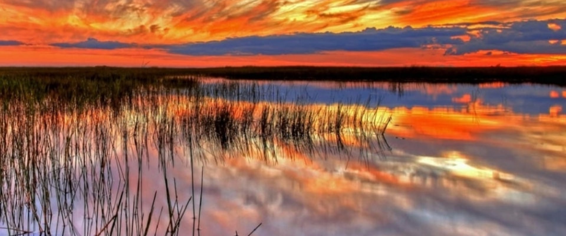 Explore the Beauty of Everglades National Park