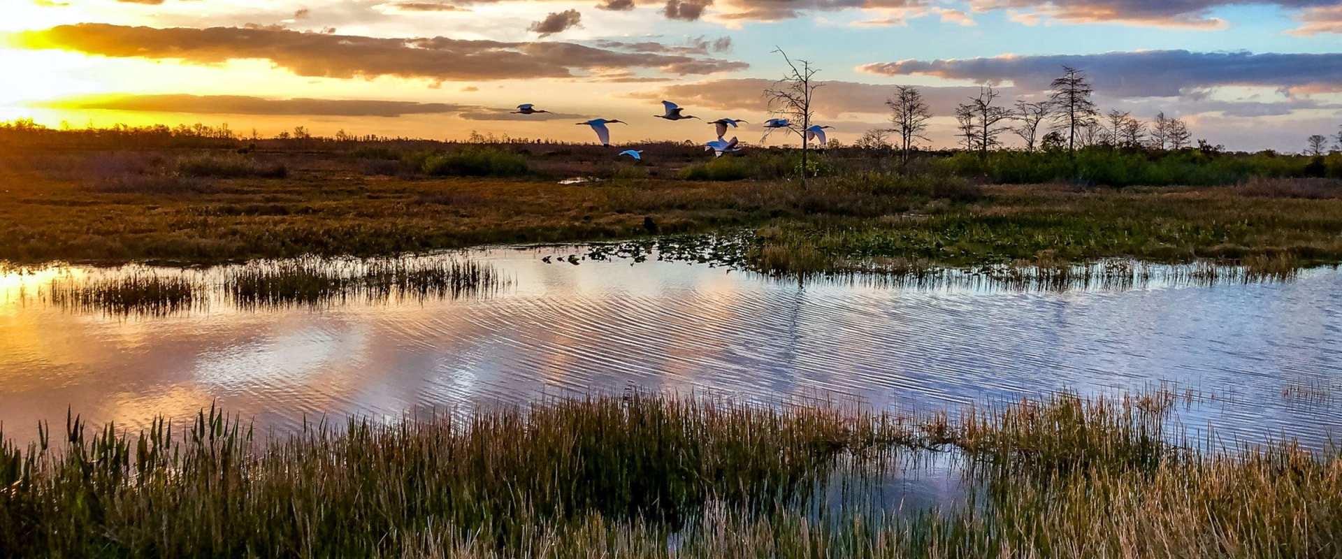 Exploring Florida's Everglades National Park