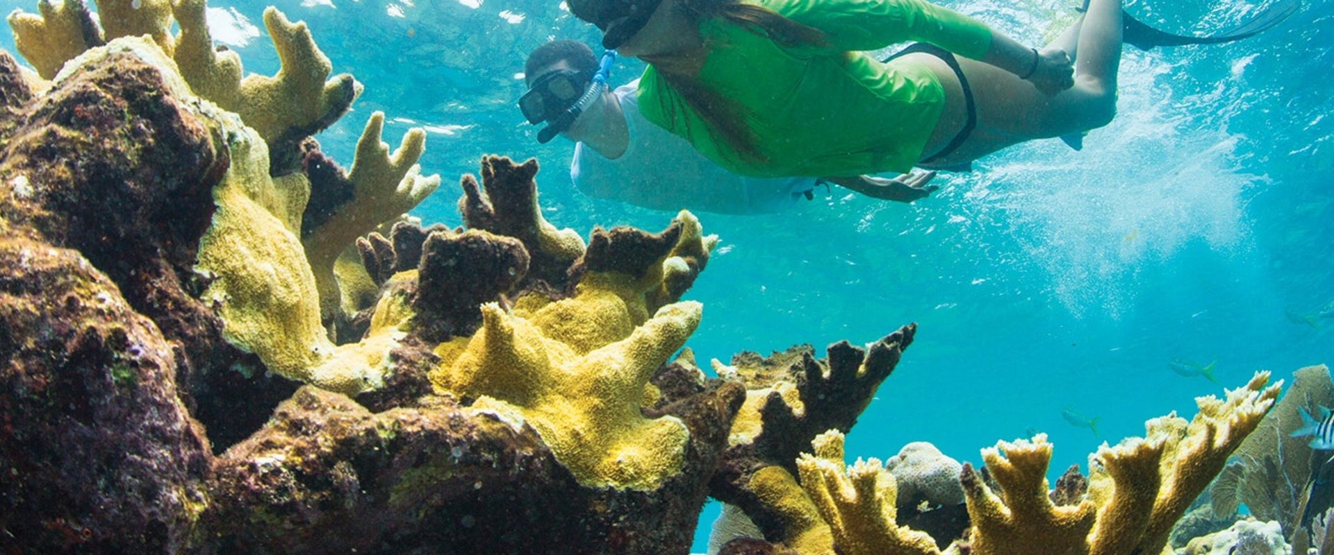 Snorkeling in the Florida Keys: A Guide to Outdoor Adventures