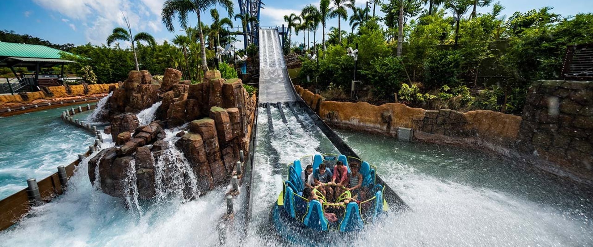 Discover the Thrills and Wonders of SeaWorld Orlando