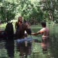 Horseback Riding in Ocala National Forest: A Must-Do Outdoor Adventure in Florida