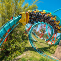 Discover the Best of Busch Gardens Tampa Bay
