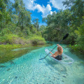 Kayaking in the Springs: Exploring Florida's Natural Wonders