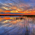 Explore the Beauty of Everglades National Park