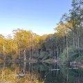 Hiking in the Apalachicola National Forest: Exploring Florida's Natural Beauty