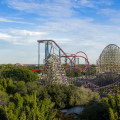 Busch Gardens Tampa Bay: The Ultimate Guide to Florida's Thrilling Theme Park