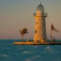 Exploring Biscayne National Park: A Must-Visit Destination in Florida