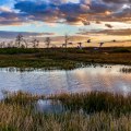 Exploring Florida's Everglades National Park