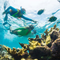 Snorkeling in the Florida Keys: A Guide to Outdoor Adventures