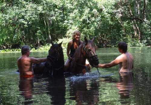 Horseback Riding in Ocala National Forest: A Must-Do Outdoor Adventure in Florida