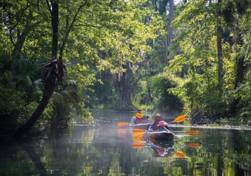 Exploring the Wonders of Ocala National Forest