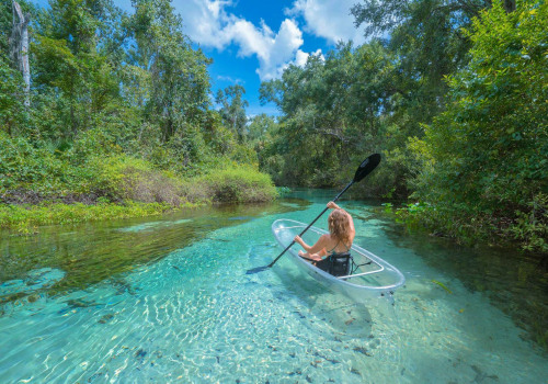 Kayaking in the Springs: Exploring Florida's Natural Wonders