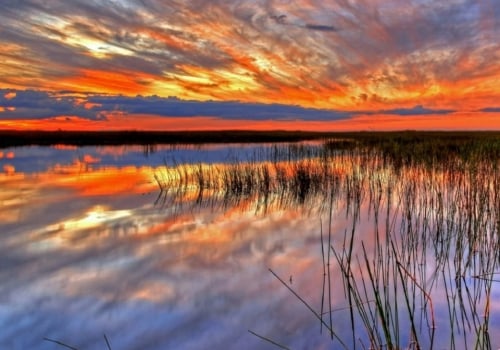 Explore the Beauty of Everglades National Park