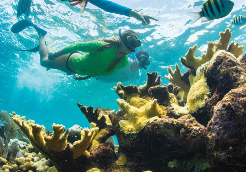 Snorkeling in the Florida Keys: A Guide to Outdoor Adventures